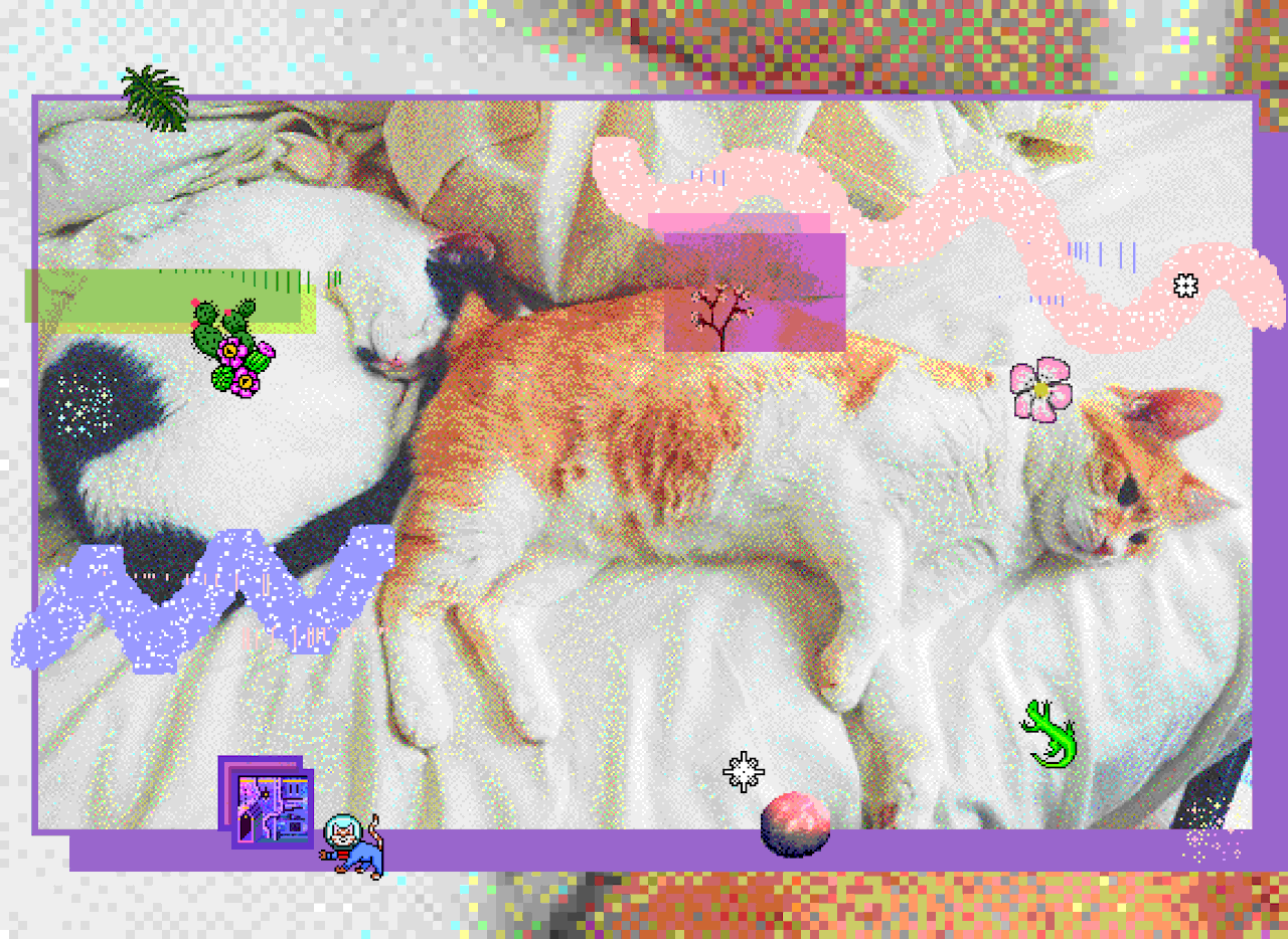 a picture of my cats I edited in Kid Pix